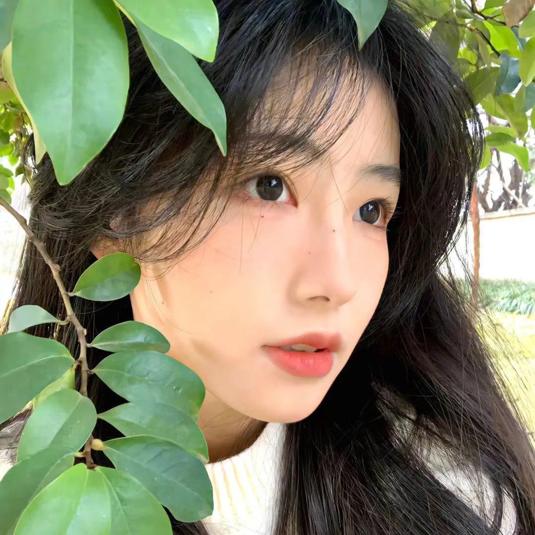 阿德里恩的故事